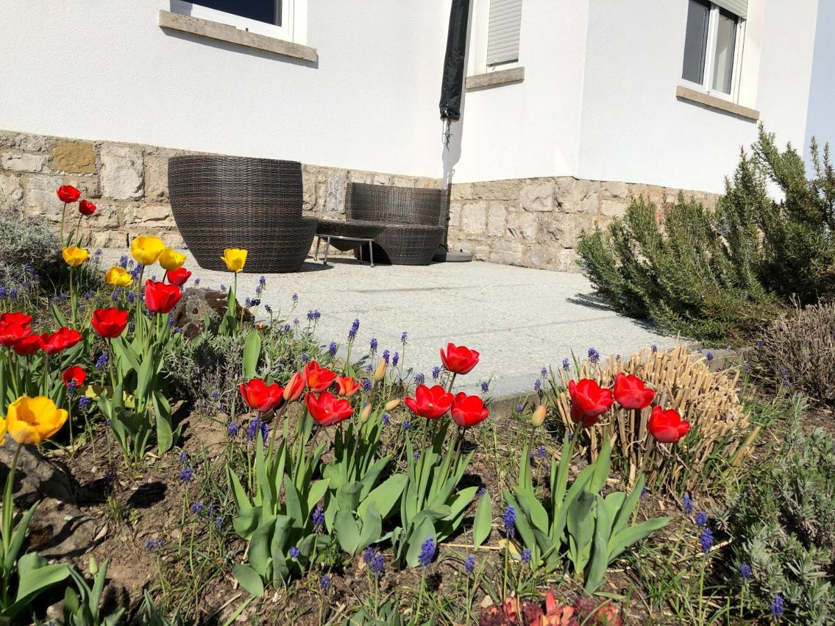 Altstadt Naehe 7 Min Fussweg Ueber Alte Maibruecke Zu Pension Mit Balkon & Garten, Ideal For Long Stay, Relocation オクゼンフルト エクステリア 写真